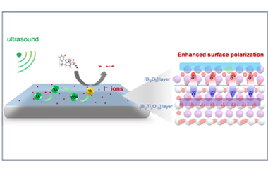 Engineering surface polarization on bismuth titanate for efficient piezo-catalytic water purification 2026.101053